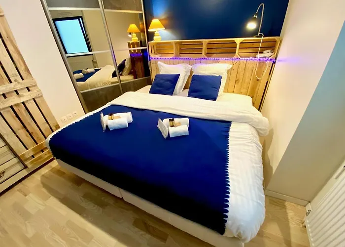 Le Neptune, Avec Parking Et Jardin Proche Universite Daire *